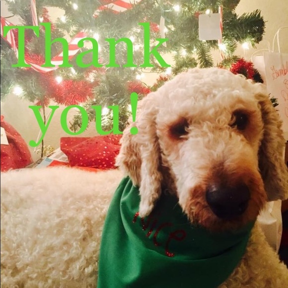 ⛄️ Christmas Sweatshirt XXL ⛄️ - Picture 7 of 7